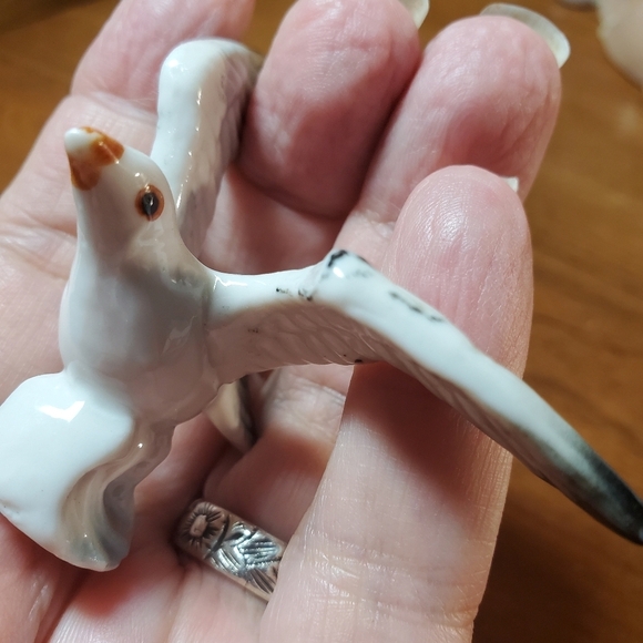 Seagull Collection - Picture 8 of 16